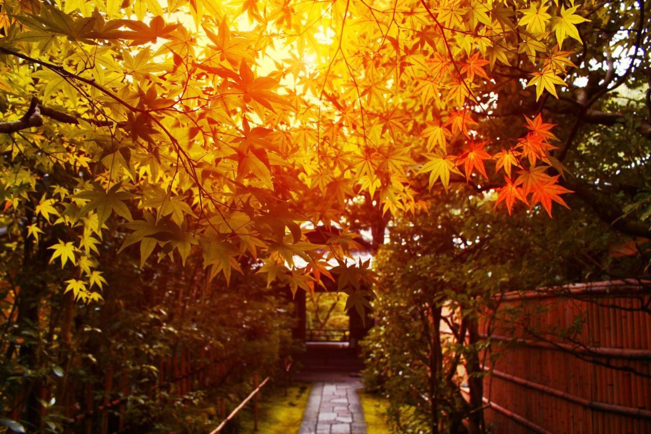 Stay Sakura Kyoto Gion Miyagawacho — Photos 3